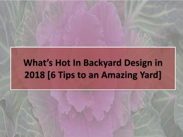 Whatâ€™s Hot In Backyard Design in 2018 [6 Tips to an Amazing Yard]