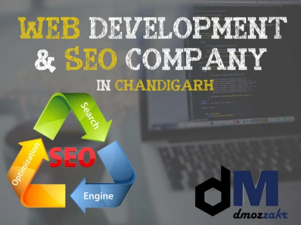 SEO and Web Development Company in Chandigarh