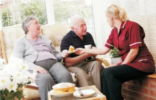 Home Care In Macomb - slide 1