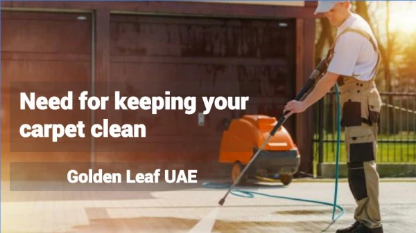 Carpet Cleaning in Abu Dhabi | Golden Leaf UAE