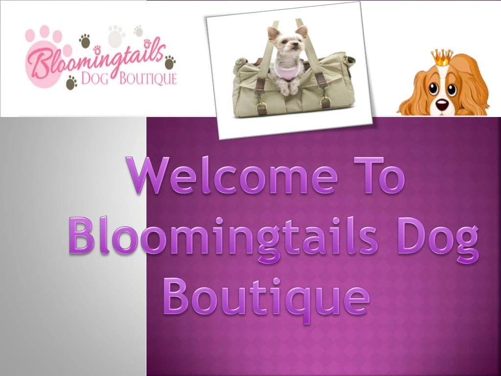 welcome to bloomingtails dog boutique