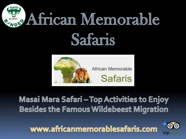Masai Mara Safari – Top Activities to Enjoy Besides the Famous Wildebeest Migration