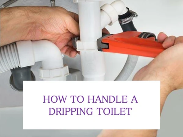 How to Handle a Dripping Toilet?
