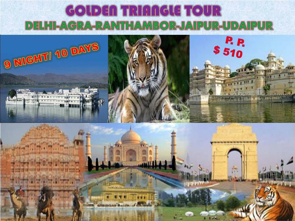 golden triangle tour delhi agra ranthambor jaipur