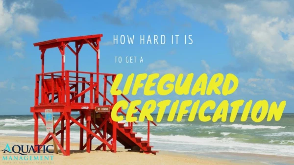 How Hard It Is To Get A Lifeguard Certification.