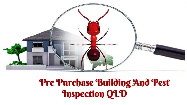 High-quality Pre Purchase Building And Pest Inspection QLD are available