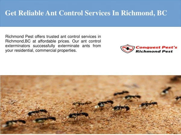 Ant Extermination Richmond BC