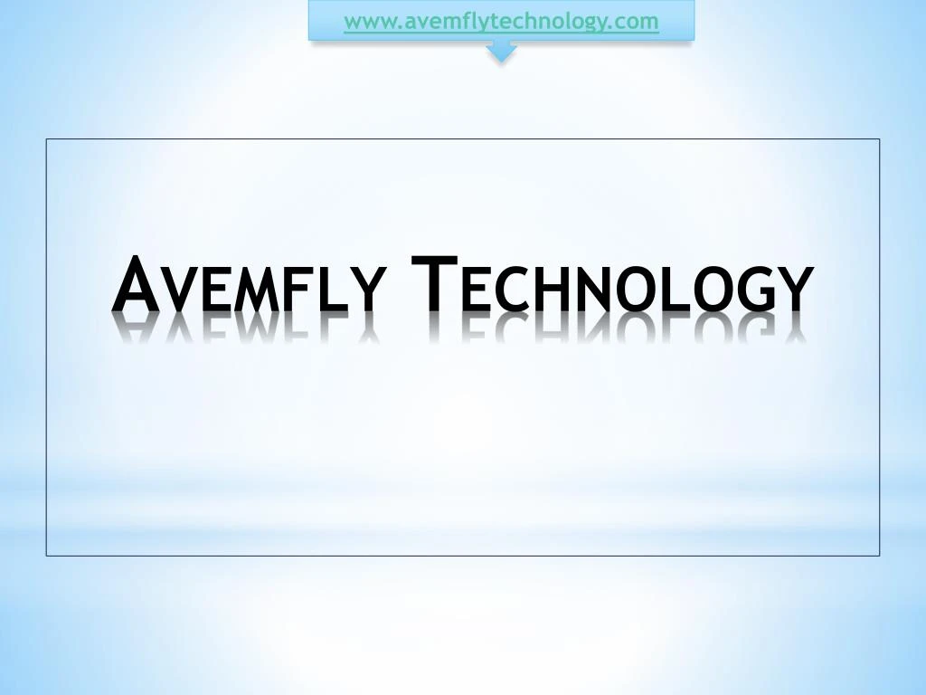 avemfly technology