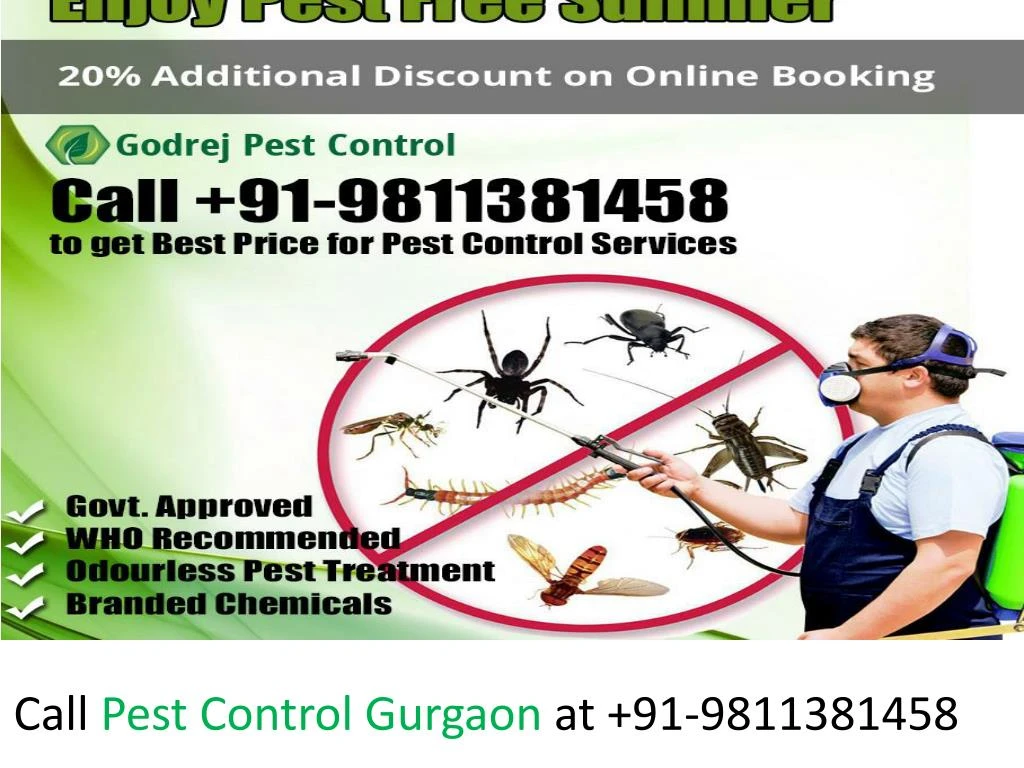 call pest control gurgaon at 91 9811381458