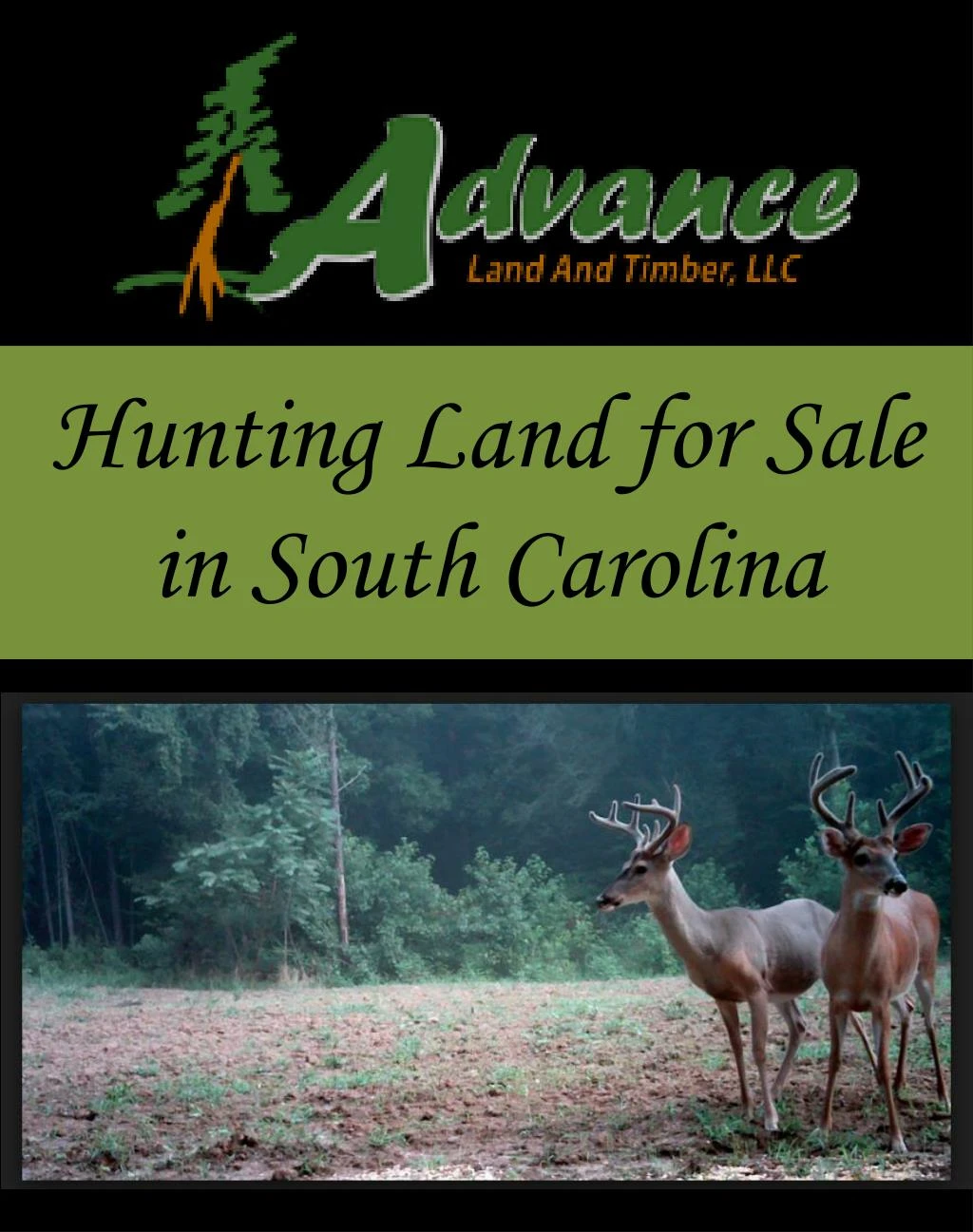 hunting land for sale in south carolina