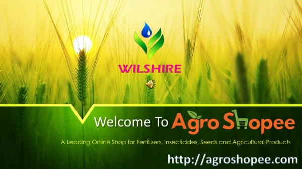Introduction Of AgroShopee