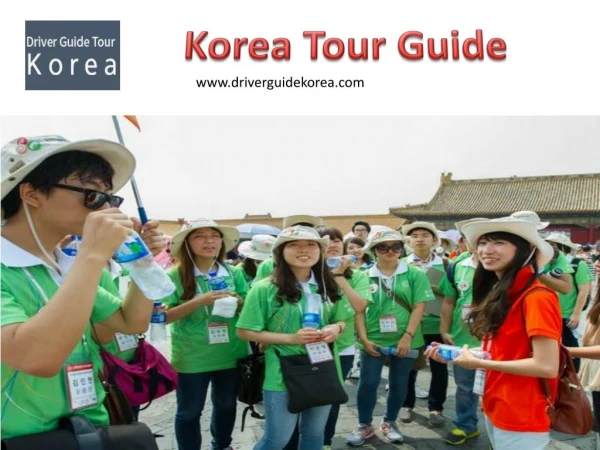Korea Tour Guide