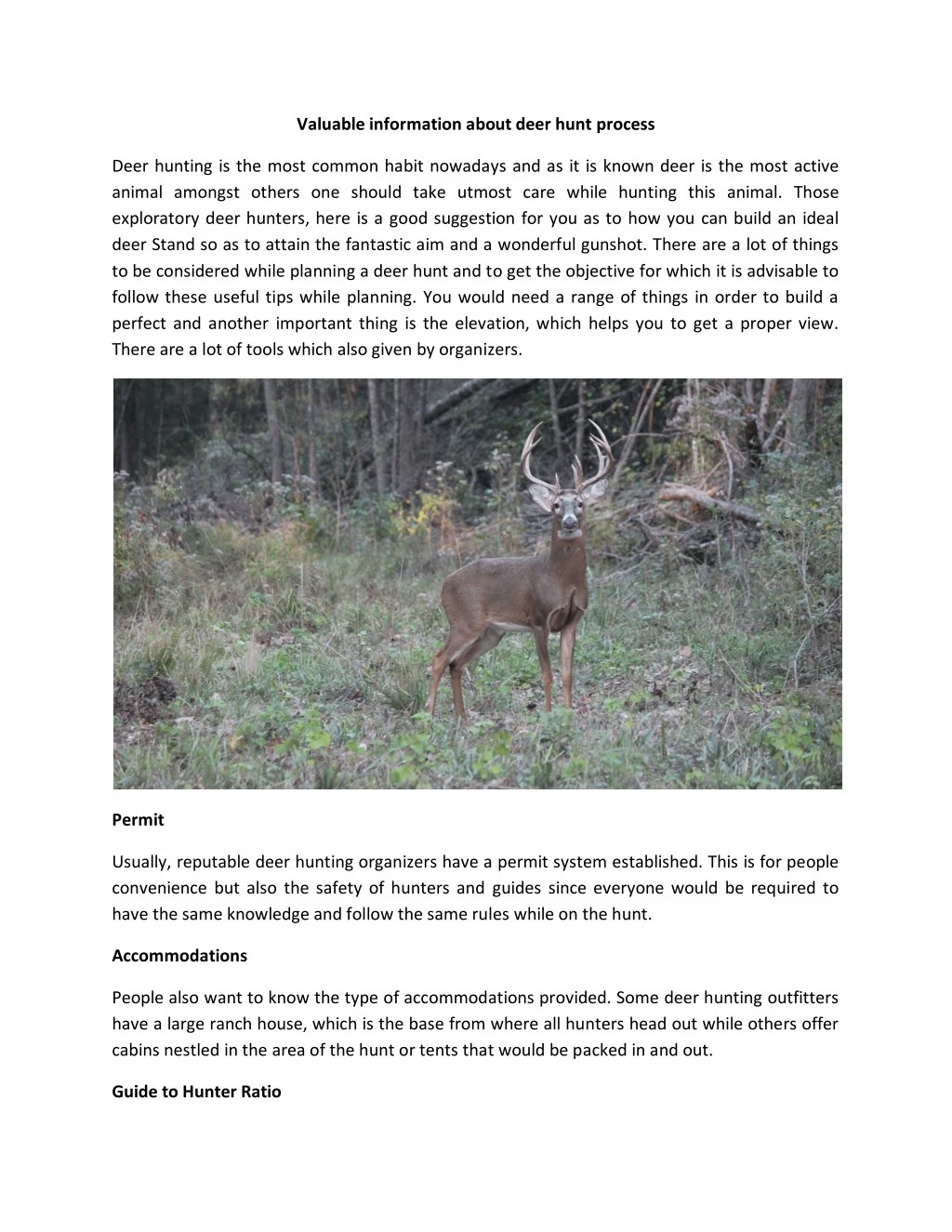 valuable information about deer hunt process