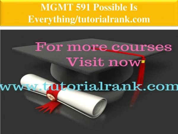 MGMT 591 Possible Is Everything--tutorialrank.com