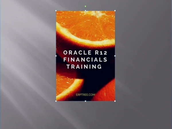 Oracle R12 Financials The best Training Erptree