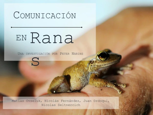 ranas