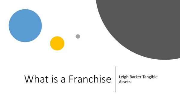 What is Franchise - Leigh Barker Tangible Assets