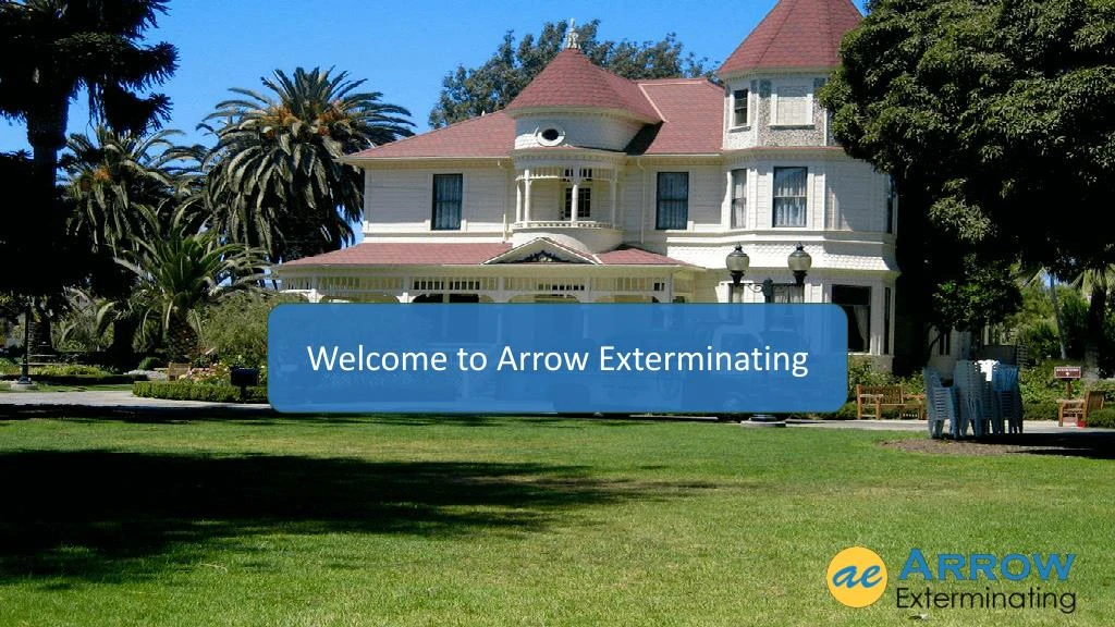 w elcome to arrow exterminating