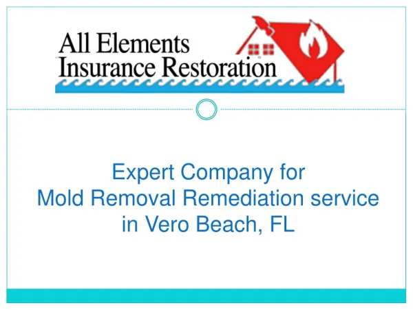 Expert Company for Mold Removal Remediation service in Vero Beach, FL