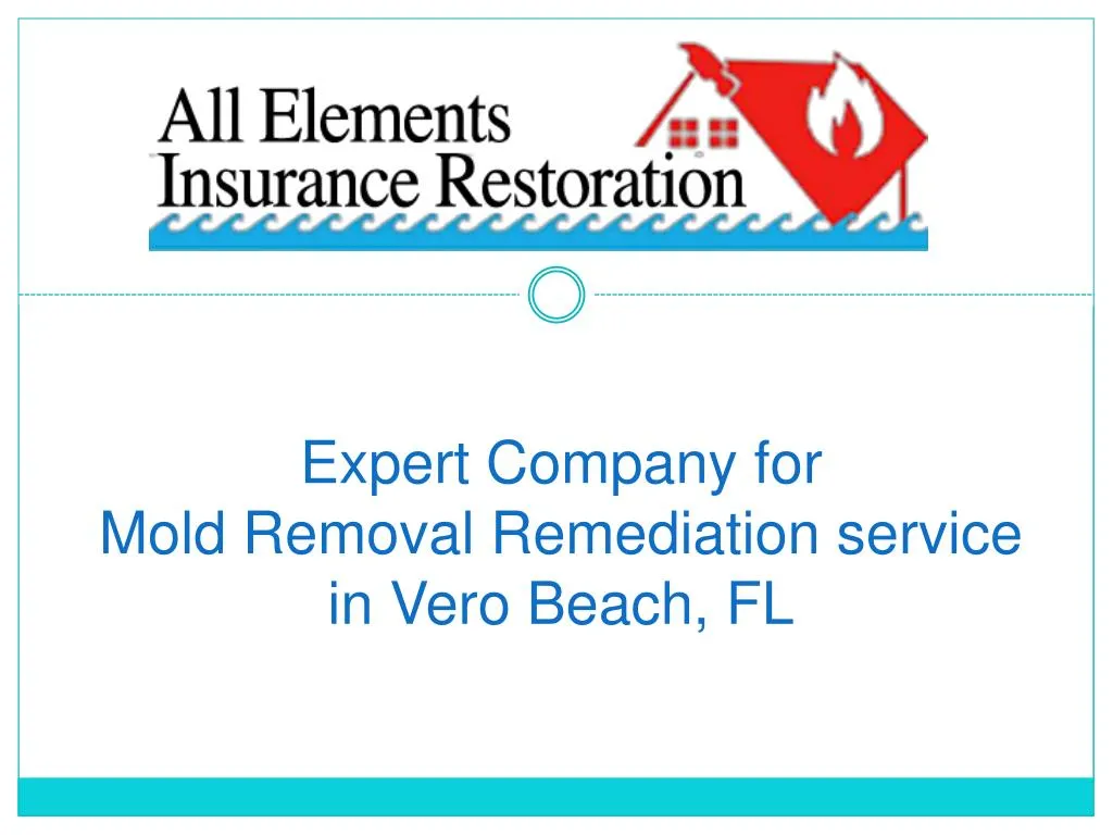 expert company for mold removal remediation service in vero beach fl