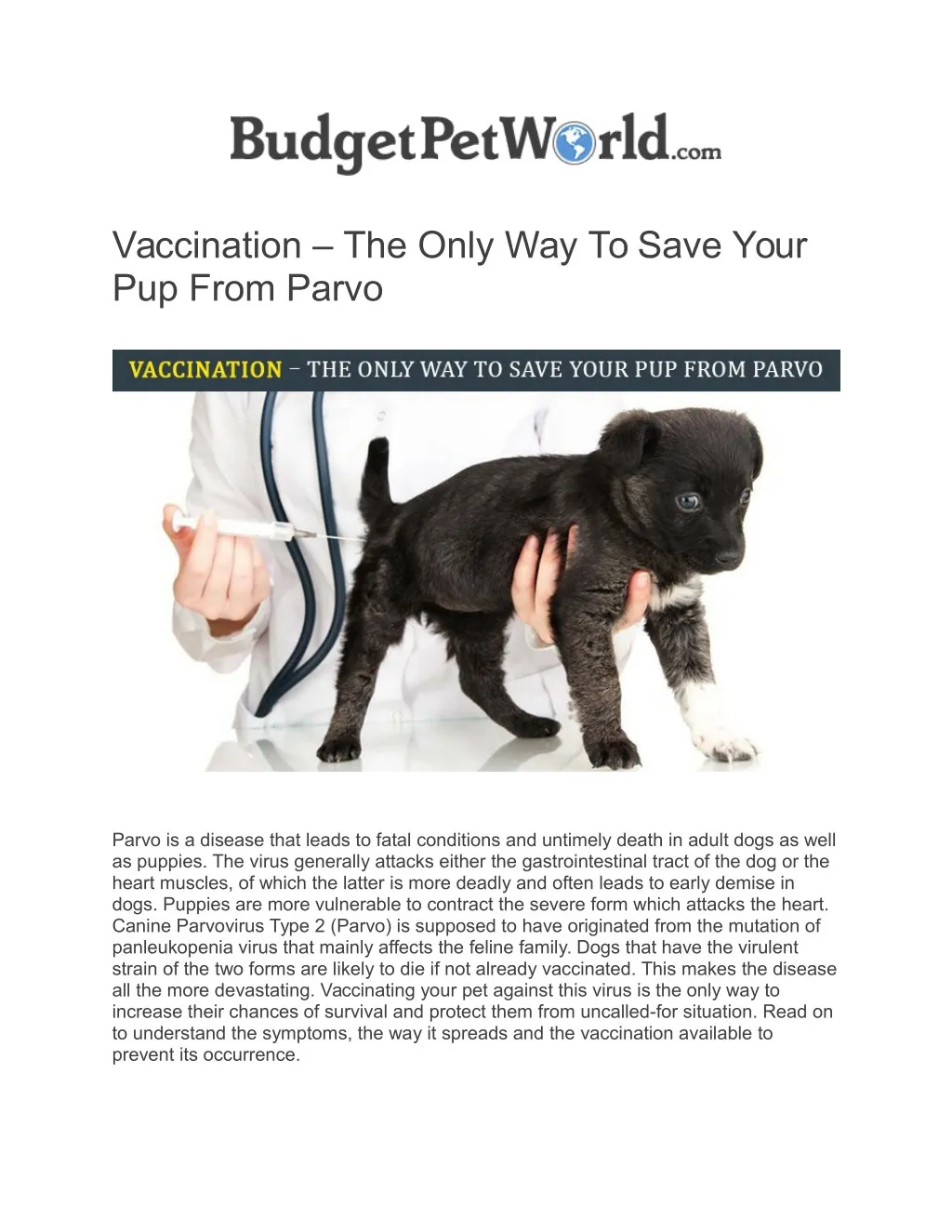 vaccination the only way to save your pup from