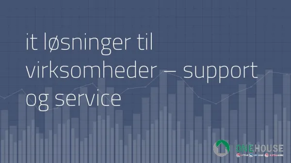 it lÃ¸sninger til virksomheder â€“ support og service