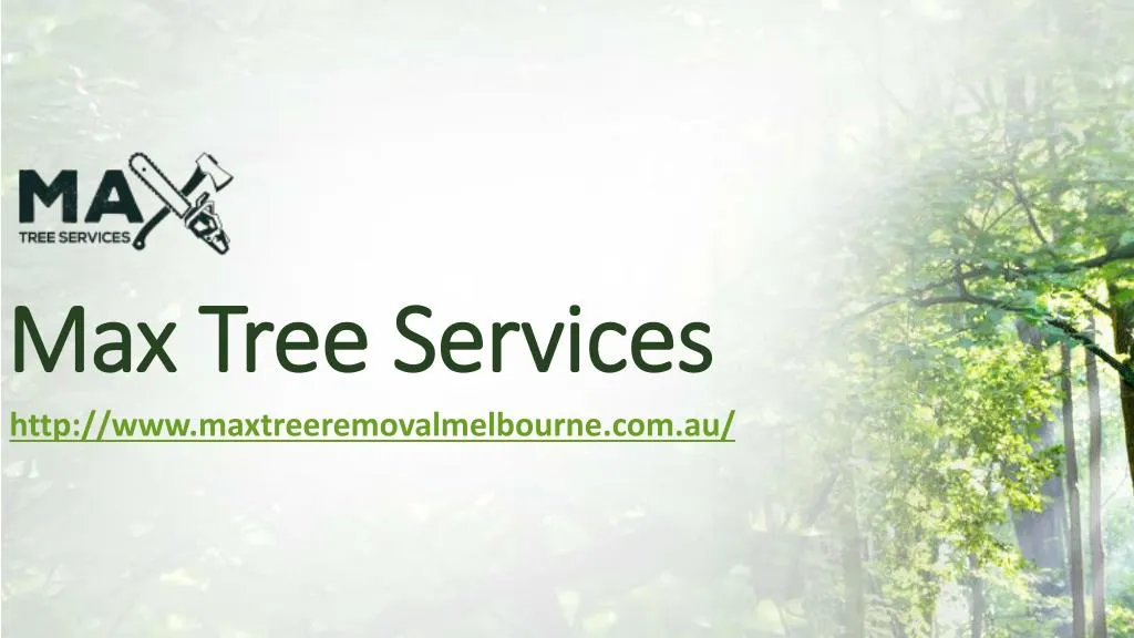 max tree services