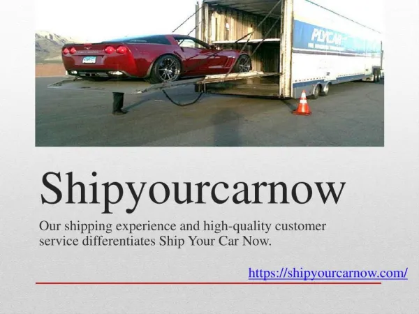 Find the reliable transportation services to Ship Car