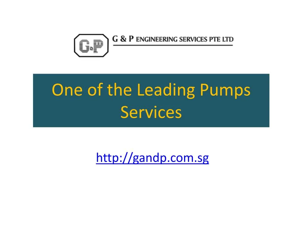 one of the leading pumps services