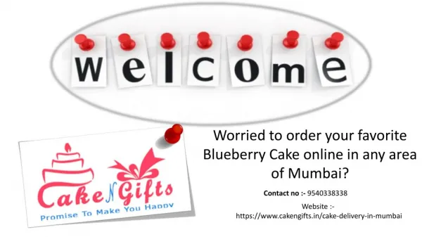 Various types of Blueberry Cake are bothered to order online in Mumbai?