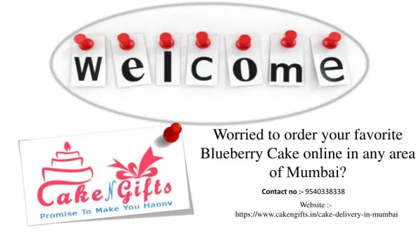 What to do to order your favorite Blueberry Cake of any kind in Mumbai