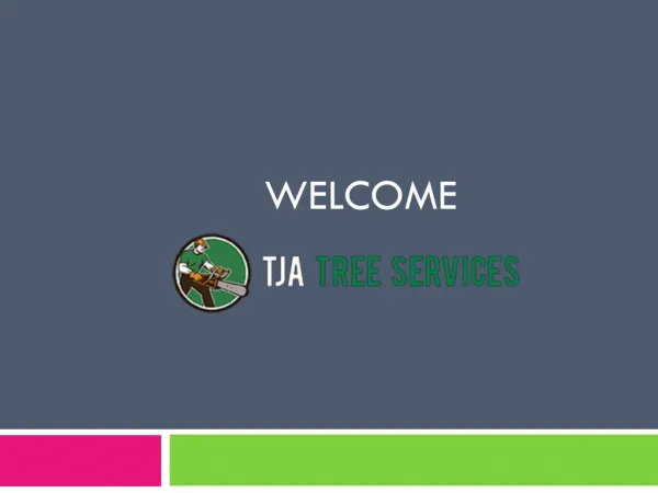 Tree removal in Adelaide :TJA Tree Services