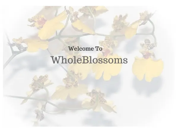 Behold them direct straight from the field- flowers blooming at WholeBlossoms