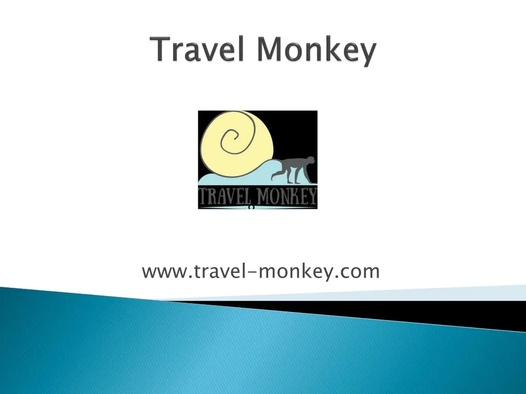 travel monkey