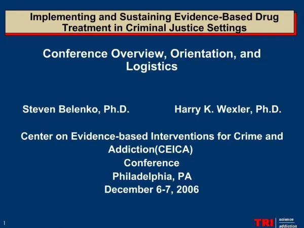 Implementing and Sustaining Evidence-Based Drug Treatment in Criminal Justice Settings