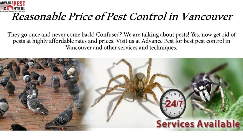 reasonable price of pest control in vancouver