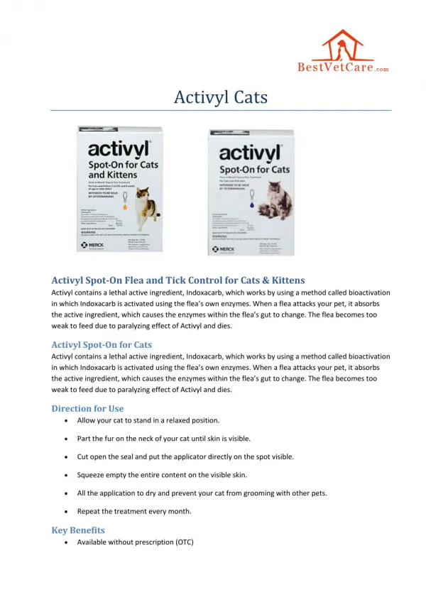 Activyl cats