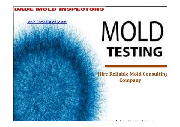 Hire Reliable Mold Consulting Company