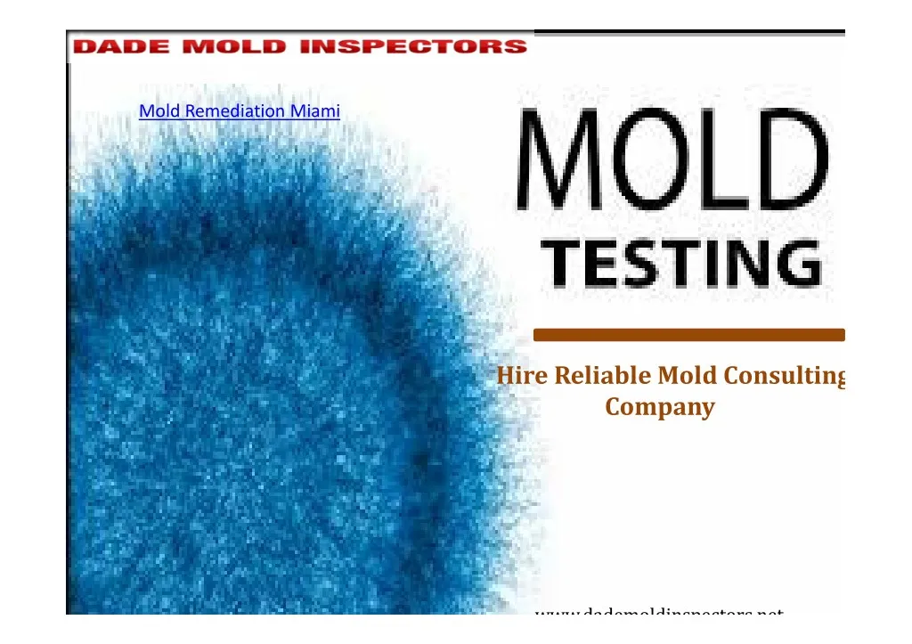 mold remediation miami