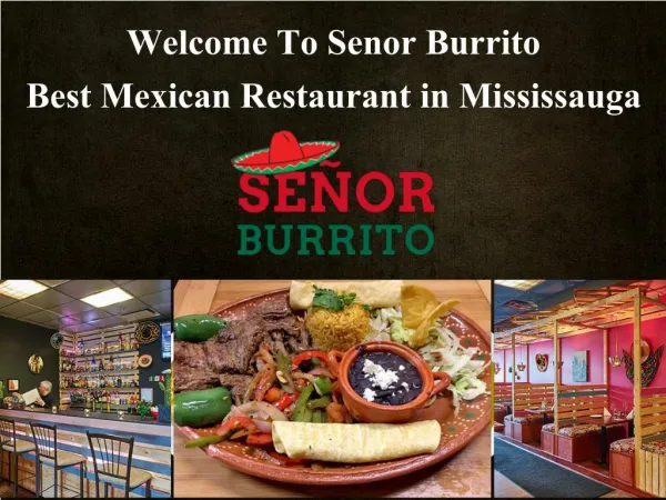 Welcome To Senor Burrito-Best Mexican Restaurant in Mississauga