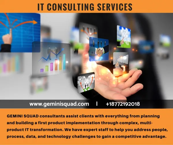 Gemini Squad IT Consulting Services gives you a winning advantage