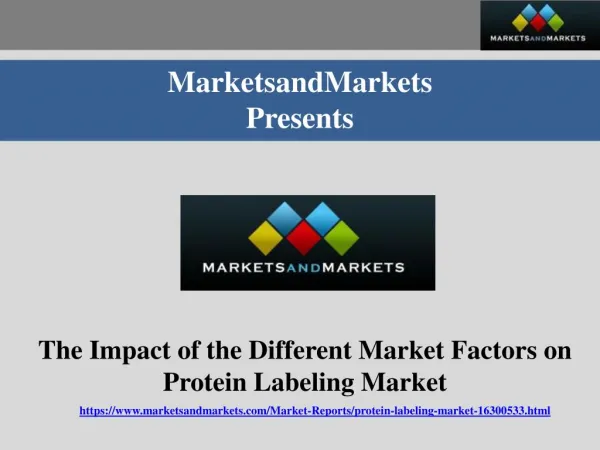 The impact of the different market factors on protein labeling market