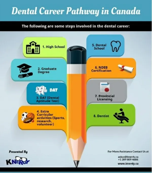 Dental Career Pathway in Canada