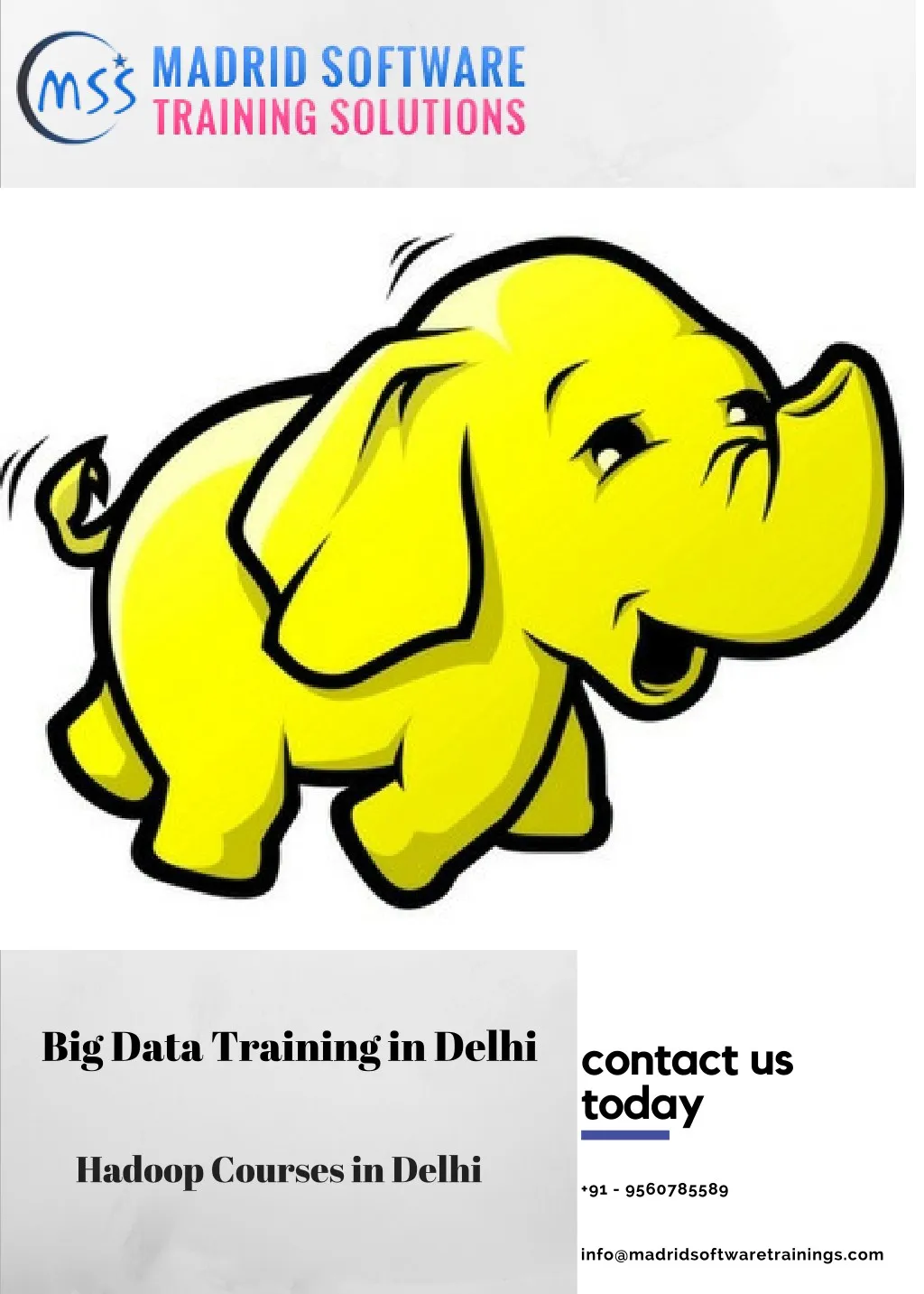 big data training in delhi
