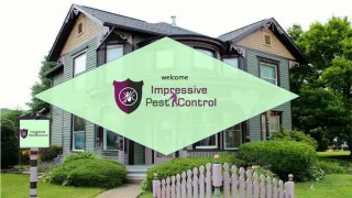 Impressive Pest Control - slide 1