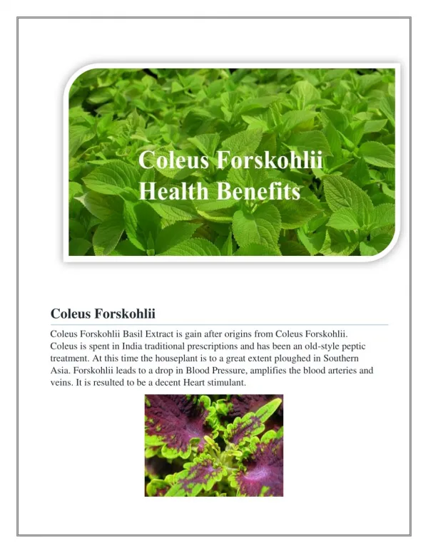 Coleus Forskohlii & it's benefits