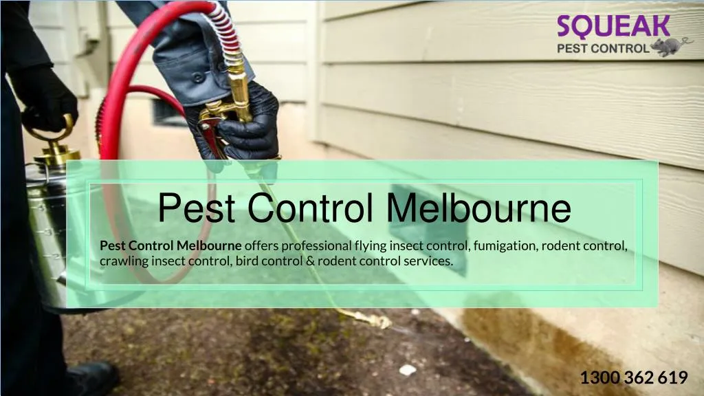 pest control melbourne