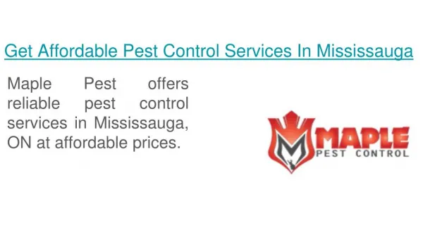 Pest Control Services Mississauga