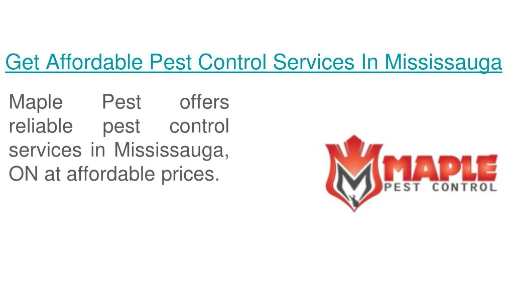 get affordable pest control services in mississauga