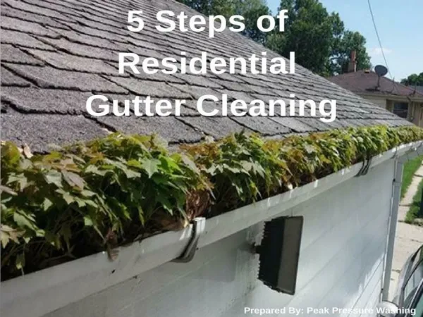 5 Steps of Residential Gutter Cleaning by Peak Pressure Washing